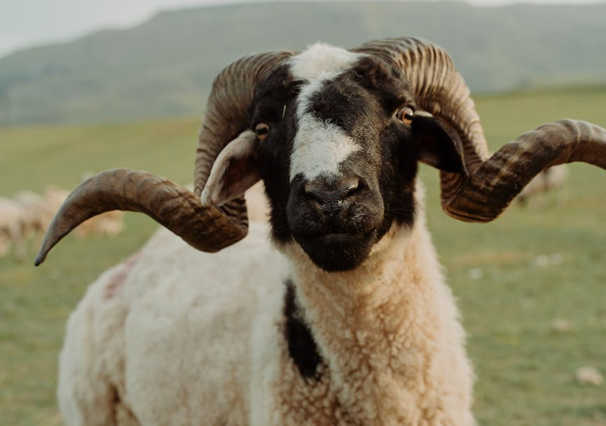 Gideon’s God {3/3}