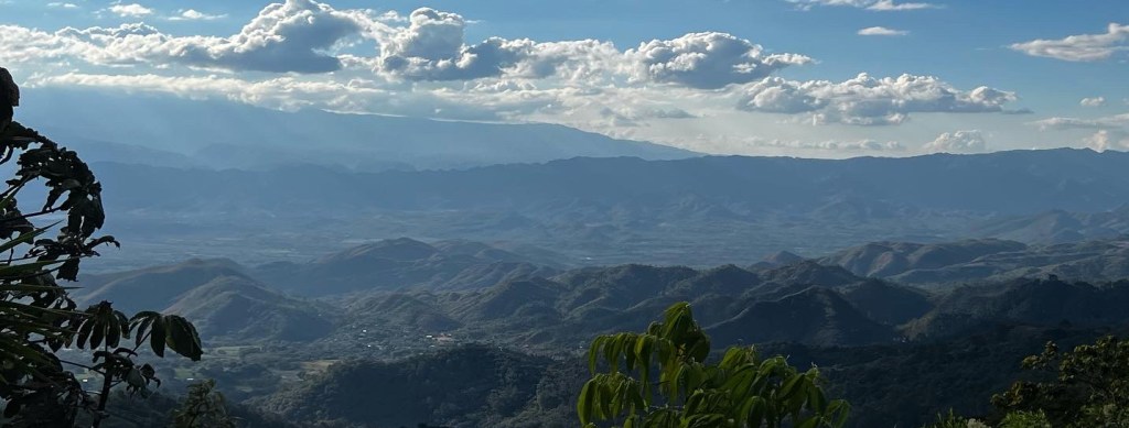 In the Middle of the Middle of the&nbsp;Middle