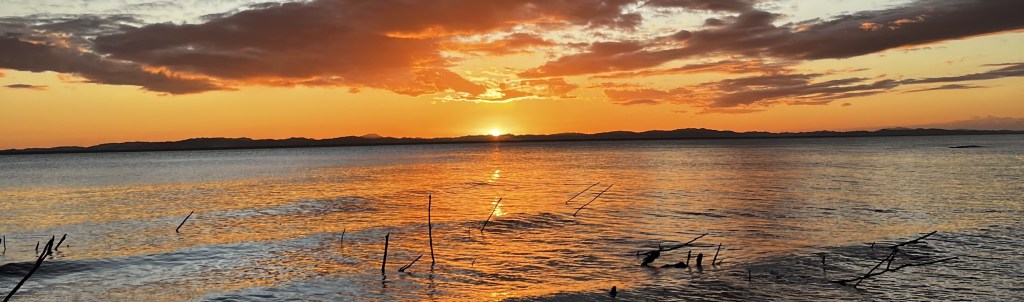 The Children of&nbsp;Ometepe